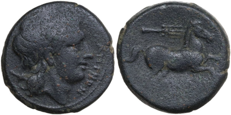 Greek Italy. Northern Apulia, Salapia. AE 21.5 mm, 225-210 BC. Obv. Laureate hea...