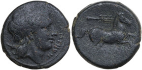 Greek Italy. Northern Apulia, Salapia. AE 21.5 mm, 225-210 BC. Obv. Laureate head of Apollo right. Rev. Horse galloping right; above, trident. HN Ital...