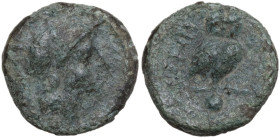 Greek Italy. Northern Apulia, Teate. AE Uncia, c. 225-200 BC. Obv. Helmeted head of Athena right. Rev. Owl standing three-quarters to right; below, pe...