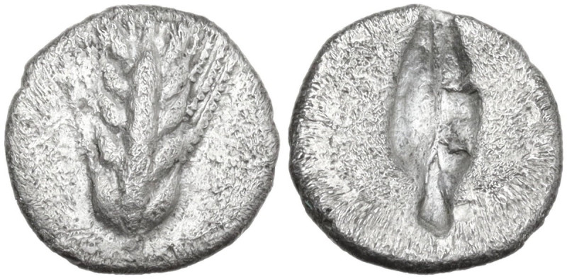 Greek Italy. Southern Lucania, Metapontum. AR Diobol, c. 470-440 BC. Obv. Ear fo...