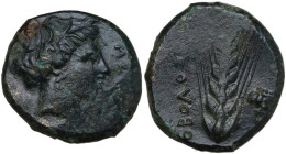 Greek Italy. Southern Lucania, Metapontum. AE Obol, c. 450-350 BC. Obv. Head of Demeter right, wearing barley wreath; ME before. Rev. ΟΒΟΛΟΣ. Grain ea...