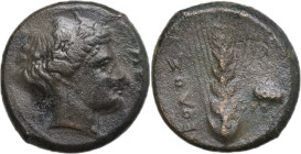 Greek Italy. Southern Lucania, Metapontum. AE Obol, c. 450-350 BC. Obv. Head of Demeter right, wearing barley wreath; ME before. Rev. ΟΒΟΛΟΣ. Grain ea...