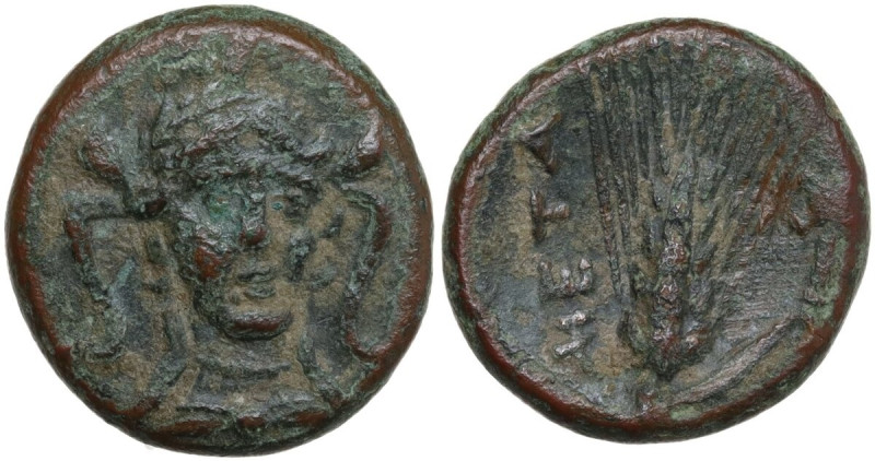 Greek Italy. Southern Lucania, Metapontum. AE 17 mm., c. 300-250 BC. Obv. Head o...