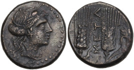 Greek Italy. Southern Lucania, Metapontum. AE 16 mm, 250-207 BC. Obv. Head of Demeter right, wearing wreath of grain. Rev. Two ears of barley; between...