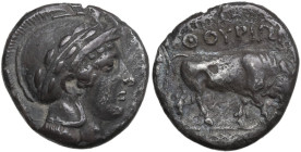 Greek Italy. Southern Lucania, Thurium. AR Nomos. c. 443-400 BC. Obv. Head of Athena right, wearing decorated helmet . Rev. Bull standing, right. HN I...