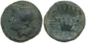 Greek Italy. Bruttium, The Brettii. AE Quarter, 214-211 BC. Obv. Head of sea-goddess left, wearing crab-headdress. Rev. Crab; above, cornucopiae. HN I...