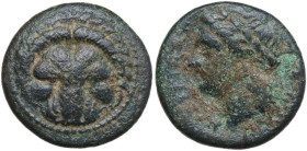 Greek Italy. Bruttium, Terina. AE 21 mm, 350-275 BC. Obv. Lions head facing. Rev. Laureate head of Apollo left. HN Italy 2644; HGC 1 1783. AE. 8.77 g....