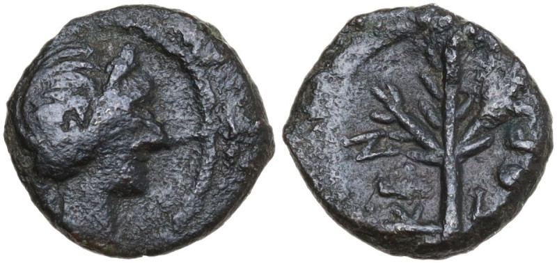 Sicily. Kentoripai. AE 10.5 mm. c. 208-200 BC. Obv. Laureate head of Apollo righ...