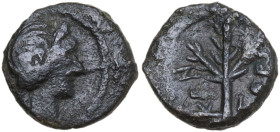 Sicily. Kentoripai. AE 10.5 mm. c. 208-200 BC. Obv. Laureate head of Apollo right. Rev. KEN-TOPI. Branch. HGC 2 639; CNS III 10; Virzi 925. AE. 1.40 g...