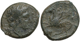 Sicily. Nakona. AE Litra, c. 307-305 BC. Obv. ΚΑΜΠΑΝΟΩΝ. Head of Persephone right, wreathed with grain. Rev. ΝΑΚΩΝΗΣ. Pegasos flying left; below, helm...