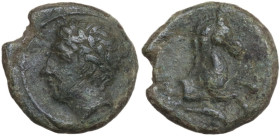 Sicily. Solous. AE 13.5 mm, late 4th-early 3rd centuries BC. Siculo-Punic coinage. Obv. Laureate head left. Rev. Horse forepart galloping right. Dolph...