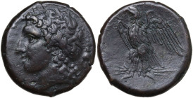 Sicily. Syracuse. Hiketas (287-278 BC). AE 23 mm. Obv. Laureate head of Zeus Hellanios left. Rev. Eagle standing left on thunderbolt, wings open. CNS ...