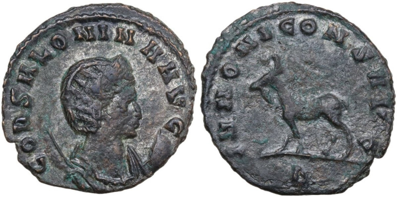 Salonina, wife of Gallienus (died 268 AD). BI Antoninianus, 260-268. Obv. COR SA...