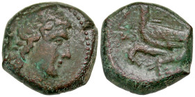 "Sicily, Akragas. Phintias. Tyrant, 287-279 B.C. AE 18 (18.1 mm, 7.01 g, 2 h). Struck ca. 287-282 B.C. Laureate and beardless head of Zeus Hellanios r...