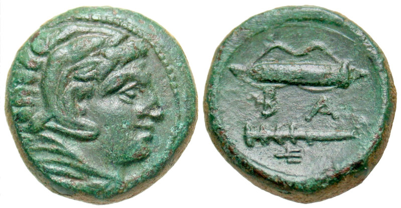 "Macedonian Kingdom. Time of Alexander III - Kassander. Ca. 325-310 B.C. AE unit...