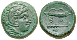 "Macedonian Kingdom. Time of Alexander III - Kassander. Ca. 325-310 B.C. AE unit. Uncertain Macedonian mint. Head of Herakles right, wearing lion's sk...