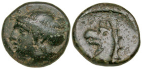 "Ionia, Phokaia. Ca. 300 B.C. AE 11 (10.9 mm, 1.86 g, 6 h). Female head (Aphrodite?) left, hair bound in sphendone / Griffin head left. SNG Copenhagen...