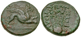 "Ionia, Teos. Ca. 370-330 B.C. AE 17 (16.8 mm, 4.19 g, 12 h). Polythrous, magistrate. Griffin springing right / THΩN ΠOΛY-ΘPOYΣ, chelys. SNG Copenhage...