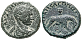 "Judaea, Aelia Capitolina (Jerusalem). Elagabalus. A.D. 218-222. AE 22 (22 mm, 11.59 g, 6 h). Laureate, draped, and cuirassed bust right / She-wolf ri...