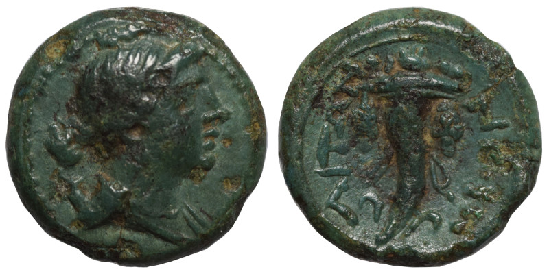 CAMPANIA. Neapolis. Ae (bronze, 1.56 g, 13 mm). Head of Artemis right. Rev. ΝΕΟΠ...