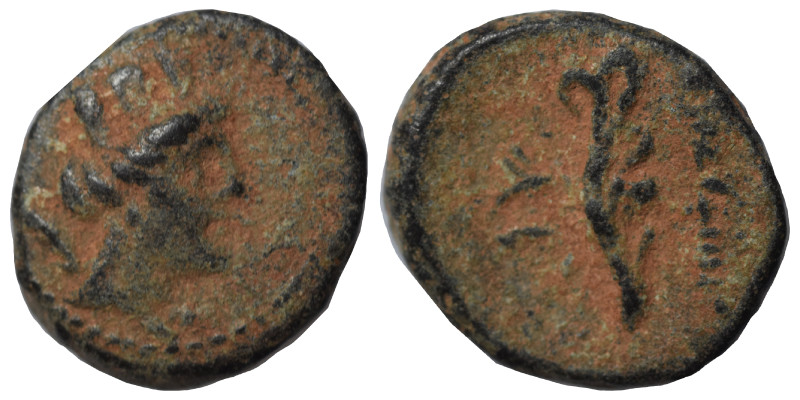 PHOENICIA. Arados, 2nd-1st century BC. Ae (bronze, 1.89 g, 13 mm). Turreted head...