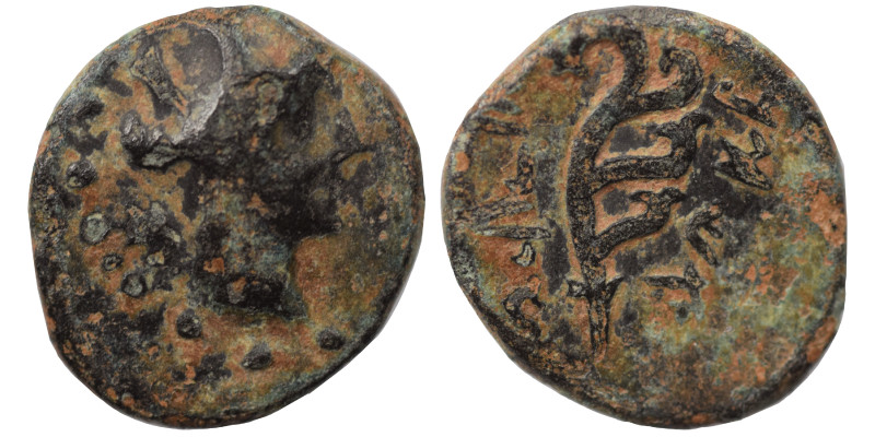 PHOENICIA. Arados, 2nd-1st century BC. Ae (bronze, 1.17 g, 12 mm). Turreted head...