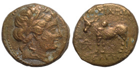 SELEUKID KINGS of SYRIA. Seleukos II Kallinikos, 246-226 BC. Ae (bronze, 4.19 g, 15 mm). Uncertain mint, associated with Antioch. Laureate head of Apo...