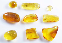 A group of nine pieces of Baltic amber; Eocene layer (56 to 33.9 million years). All containing various insects together with other inclusions.