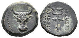 KINGS OF PAPHLAGONIA. Pylaimenes II. / III. Euergetes (Circa 133-103 BC). Ae.
Obv: Head of bull facing.
Rev: ΒΑΣΙΛΕΩΣ / ΠΥΛΑΙΜΕΝΟΥ [ΕΥΕ]ΡΓΕ[ΤΟΥ].
W...