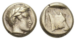 LESBOS. Mytilene. (Circa 454-428/7 BC). EL Hekte
Obv: Laureate head of Apollo right.
Rev: Head of calf right within incuse square.
Bodenstedt 56; H...