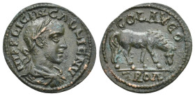 TROAS, Alexandria. Gallienus, 253-268 AD. AE.
Obv: IMP LICIN GALLIENVS.
Laureate, draped and cuirassed bust of Gallienus, right.
Rev: COL AVGO, TRO...