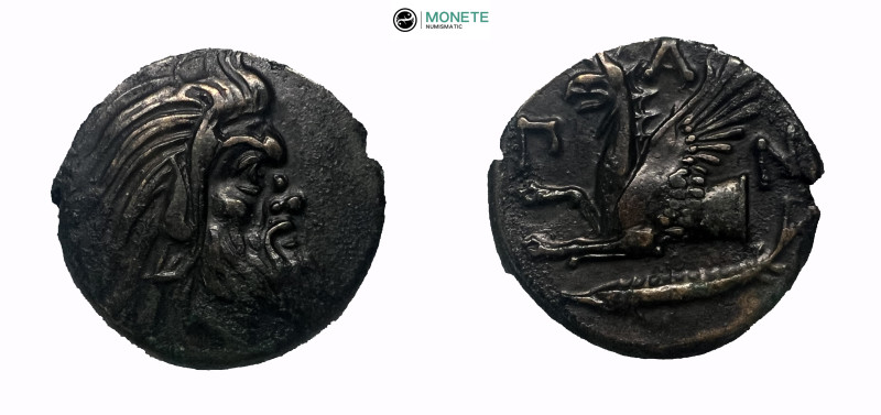 CIMMERIAN BOSPOROS. Pantikapaion. Ae (Circa 310-304/3 BC)
Obv: Bearded head of s...