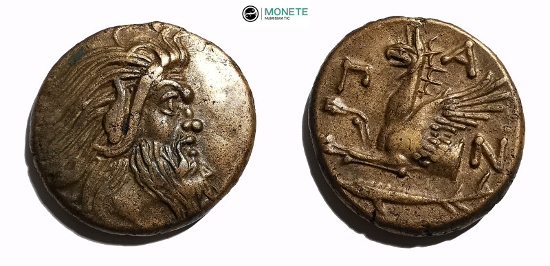 CIMMERIAN BOSPOROS. Pantikapaion. Ae (Circa 310-304/3 BC).
Obv: Bearded head of ...