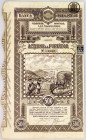 Romania Banca Cerealistilor SA Bucharest Share for 500 Lei 1919
# 53533; Purple, brown, revenue stamp, stamps, some coupons remaining, 2 cm tear, bro...