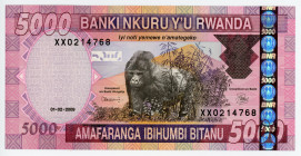 Rwanda 5000 Francs 2009 Replacement
P# 37, N# 211068; # XX0214768; UNC