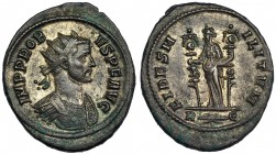 PROBO. Antoniniano. Roma (276-282). R/ FIDES MILITVM. RIC-170 vte. de leyenda en anv. R.P.O. MBC+.