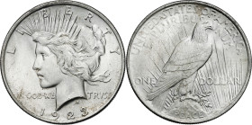 Estados Unidos. 1923. Filadelfia. 1 dólar. (Kr. 150). AG. 26,72 g. EBC+.