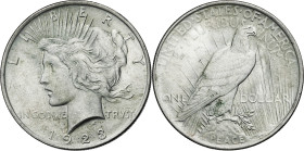 Estados Unidos. 1923. Filadelfia. 1 dólar. (Kr. 150). AG. 26,76 g. EBC+.