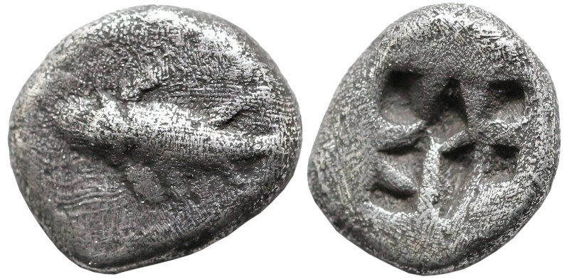Greek
MYSIA. Kyzikos. (600-550 BC)
AR diobol (7.9mm 1.36g)
Obv: Tunnh fish sw...