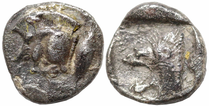 Greek
MYSIA. Kyzikos (Circa 450-400 BC)
AR Diobol (8.5mm 1.02g)
Obv: Forepart...