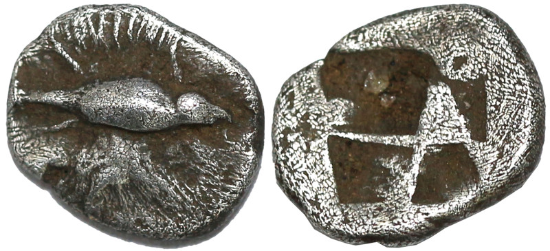 Greek
IONIA. Phokaia. (Circa 550-500 BC)
AR Obol (5.9mm 0.75g)
Obv: Seal swim...