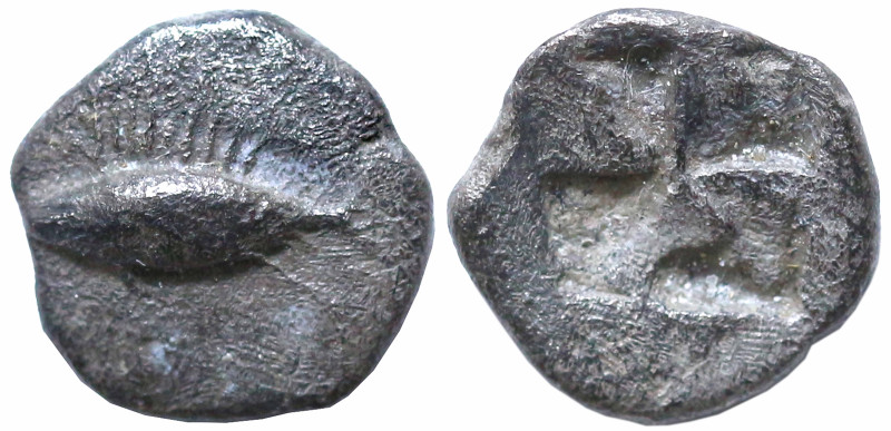 Greek
MYSIA. Kyzikos. (Circa 500 BC)
AR Obol (7mm 0.59g)
Obv: Tunny fish swim...