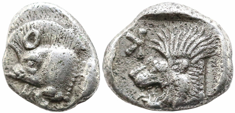 Greek
MYSIA, Kyzikos (Circa 450-400 BC)
AR Obol (7.4mm 0.78g)
Obv: Forepart o...
