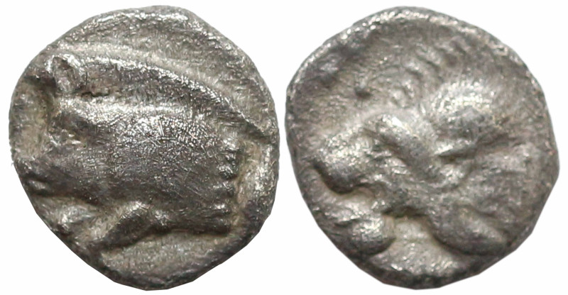 Greek
MYSIA. Kyzikos (Circa 480-475 BC)
AR Hemiobol (4.5mm 0.32g)
Obv: Forepa...