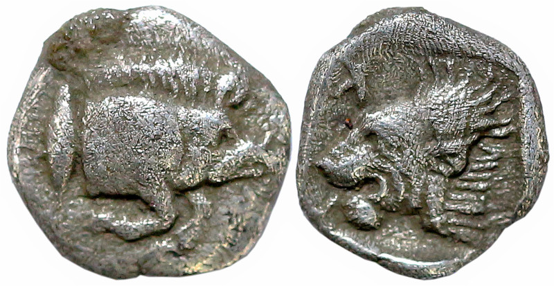 Greek
MYSIA. Kyzikos (Circa 480-475 BC)
AR Hemiobol (4.9mm 0.29g)
Obv: Forepa...