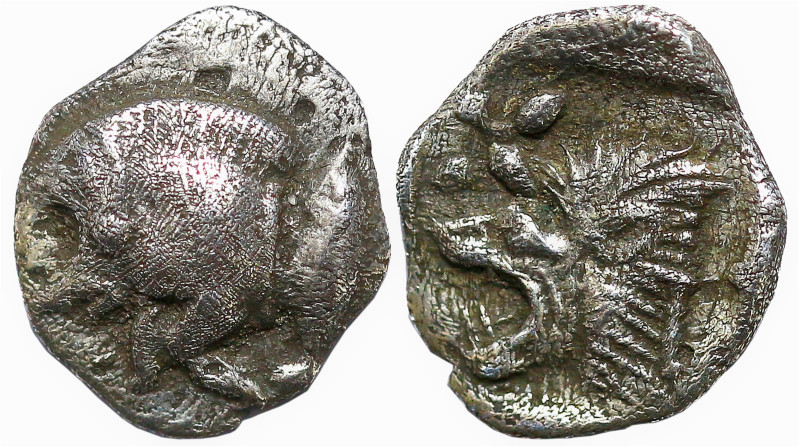 Greek
MYSIA. Kyzikos. (Circa 450-400 BC).
AR Hemiobol (6.9mm 0.35g)
Obv: Fore...