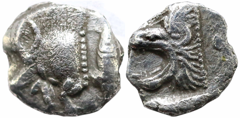 Greek
MYSIA. Kyzikos (Circa 450-400 BC)
AR Hemiobol (5.3mm 0.29g)
Obv: Forepa...