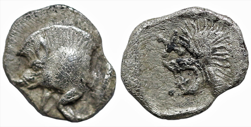 Greek
MYSIA. Kyzikos. (Circa 450-400 BC).
AR Tetartemorion (4.9mm 0.2g)
Obv: ...