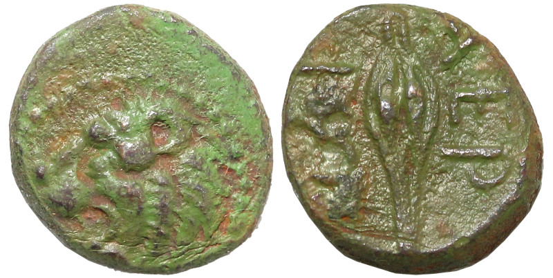 Greek
THRACE. Chersonesos. (Circa 386-309 BC).
AE Bronze (10mm 1.93g)
Obv: He...