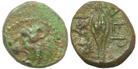 Greek
THRACE. Chersonesos. (Circa 386-309 BC).
AE Bronze (10mm 1.93g)
Obv: Head of lion left.
Rev: XEP / PO. Barley grain.
HGC 3.2, 1439.
